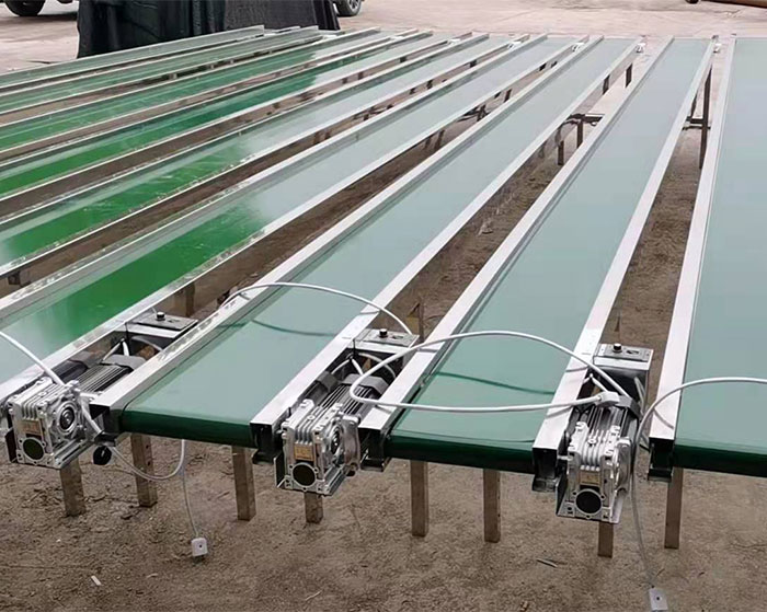 1647767053155169.jpg 2.jpg