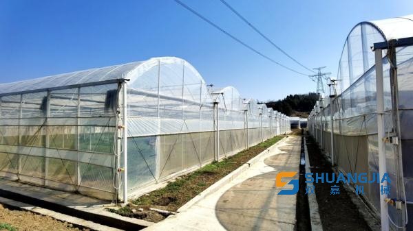 1648518299308926.jpg 5196538695795850971.jpg