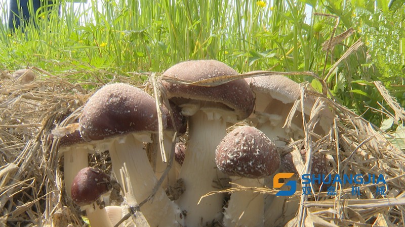 1649815314148171.jpg 10-22-26-19-283825.jpg