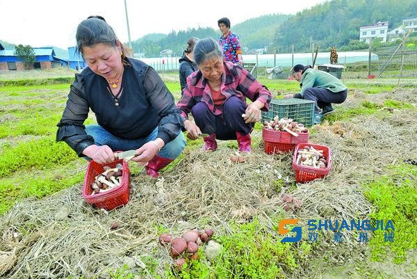 1649902492933557.jpg 17-08-15-69-283825.jpg