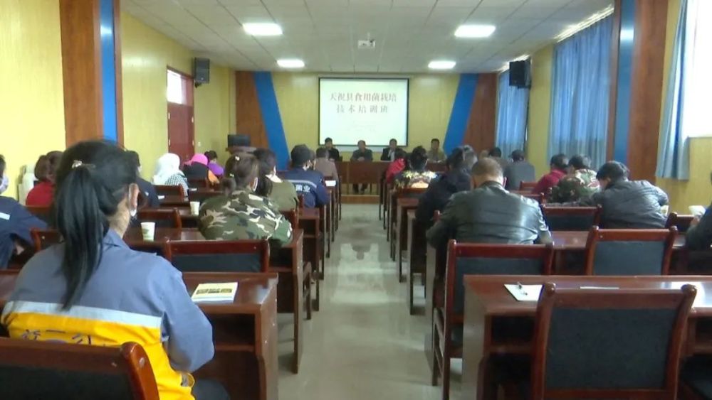 1649902736312462.jpeg 08-53-17-37-283825.jpeg