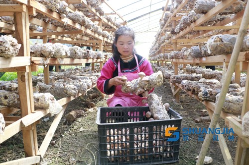 1649988229648553.jpg 11-18-23-77-283825.jpg