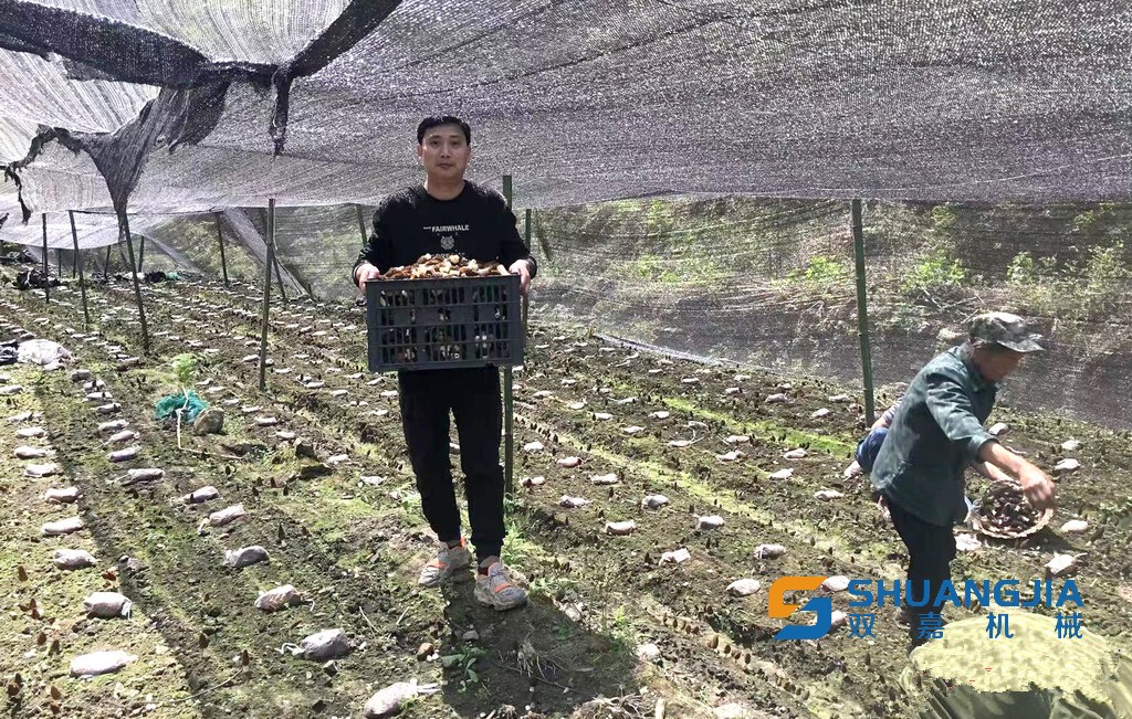 1650417775131597.jpg 11-49-02-30-283825.jpg