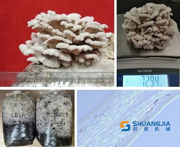 1651109934275186.jpg 08-41-16-97-283825.jpg