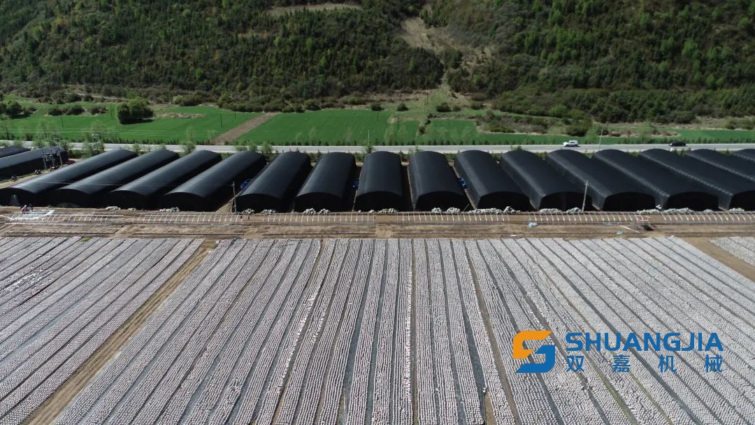 1653099629174665.jpg 569.jpg