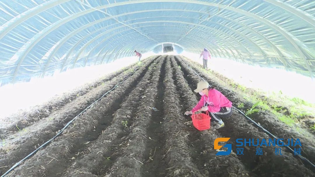 1653874172101474.jpg 639.jpg