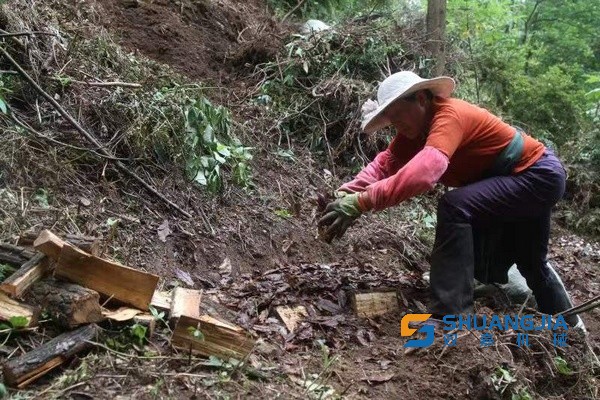 1654830257983428.jpg 17-19-25-44-283825.jpg