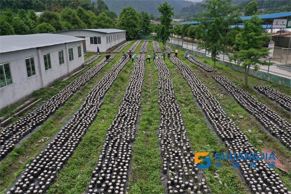 1654909558135137.jpg 15-53-59-76-283825.jpg