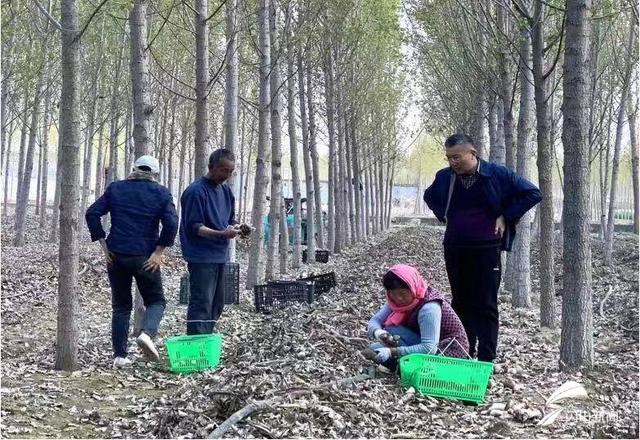 1658284544212821.jpeg 09-46-56-24-283825.jpeg