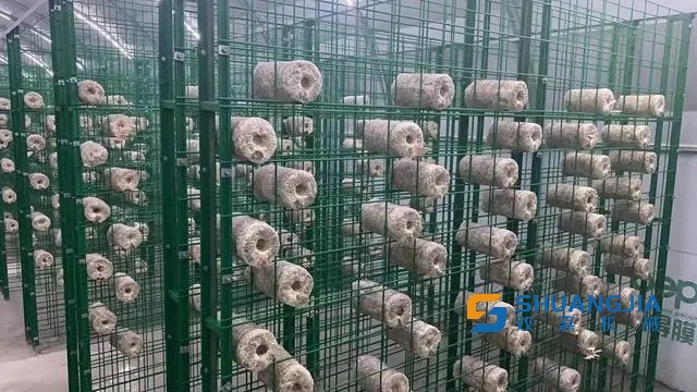 1663812037189750.jpg 09-23-15-66-283825.jpg