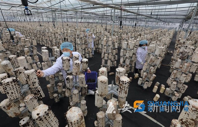 1671283218189478.jpg 09-35-33-99-283825.jpg