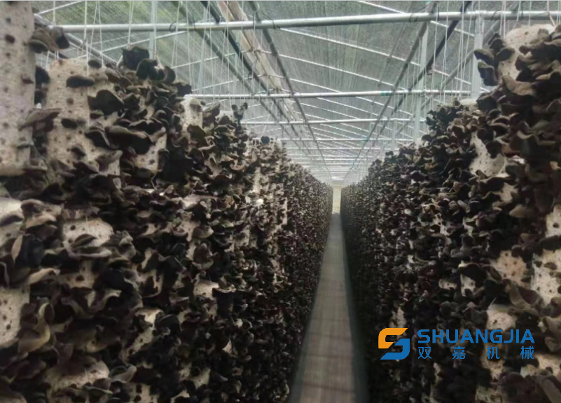 1681448061126924.png 10-09-14-86-451102.png